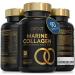 Advanced Marine Collagen Capsules | Made in The UK | Hydrolysed Collagen Supplements for Women & Men | Hair Skin and Nails Vitamins Enhanced with Hyaluronic Acid Biotin & More | 90 Capsules Marine Collagen 90 count (Pack of 1)