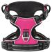 Heele dog harness without train breast dishes for large dog adjustable reflective dog dishes breathable dog base with padded handle no-pull dog harness fuchsie XL XL-breast size: 53-97cm uni-foxie
