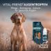 Vital-Friend Eye Drops for Dogs Cats & Horses - 10ml Preservative-Free Eye Care for Inflammation & Conjunctivitis - Buy Online on GoSupps.com