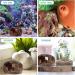 Premium Aquarium Decorations - Resin Barrel Cave Ornaments for Shrimp & Fish - Underwater Landscapes - Buy Online on GoSupps.com