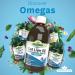 Natures Aid Cod Liver Oil Liquid 500ml - Pure & High-Quality Supplement - Buy Online on GoSupps.com