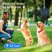 Tepimato Ultrasonic Dog Barking Control Device | LCD Display, 4 Frequency Levels, 50ft Range | Automatic Stop Anti-Barking Deterrent for Indoor & Outdoor Dogs - Buy Online on GoSupps.com