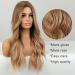 Buy Haircube Long Blonde Ombre Wig - Wavy Curly Middle Part Synthetic Hair for Women | 66.04 cm | Perfect for Parties & Daily Use - Buy Online on GoSupps.com