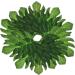 ULTECHNOVO 120 Pcs Monstera Decoration Luau Cupcake Decorations Palm Leaves Cake Holder Mini Paper Plant Decorations Leaves Decor Hat Green Decor Leaves Cake Decor Polyester Jungle Hawaii - Buy Online on GoSupps.com