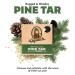 Dr. Squatch Pine Tar Bar Soap for Men - 3 Pack, Heavy Grit, All Natural - Buy Online on GoSupps.com