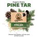 Dr. Squatch Men's Bar Soap Variety Pack - Pine Tar, Cedar Citrus, Spearmint Basil (3 Bars) - Buy Online on GoSupps.com