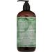 WEN by Chaz Dean Cucumber Aloe Cleansing Conditioner | 16 fl. oz - Hydrating & Gentle Hair Care | International Shipping Available - Buy Online on GoSupps.com