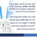 Can-C K9 Eye Drops - Buy Online on GoSupps.com