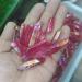 Electroplated Colourful Wand Point Raw sEnergy Stone Natural Stones and Minerals Home Decor Can be Used for (Size : 300g) HOMEZHOU (Size : 500g)