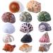 14PCS 14 Kind Natural Hermit Crab Shells Size 1" - 3.5", Opening 0.8" - 1.5" Hermit Crab Supplies Pearl Turbo Seashell for Dcor