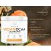 Ultra Clean Vegan BCAA Powder + Electrolytes (Peach Mango | 6G) - Sugar-Free BCAAs Amino Acids Supplement for Post Workout Recovery - Women/Men - Buy Online on GoSupps.com