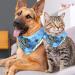 Shop Triangular Dog Scarf for All Sizes - 2 Multi-Colored Pieces for Dogs & Cats - Perfect Fashion Accessory - Buy Online on GoSupps.com