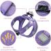 Buy Purple Padded Dog Harness for Small Dogs | XXS Puppy Harness for Comfort & Control - Buy Online on GoSupps.com