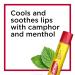 Carmex Medicated Lip Balm Sticks 3 Count (2 Packs) + Bonus 0.35oz Lip Balm Tube - Moisturizing Lip Moisturizer for Dry Chapped Lips - Buy Online on GoSupps.com