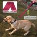 Vivaglory Short Dog Leash - 61 cm Traffic Leash for Medium to Large Dogs | Durable Red Training Line - Buy Online on GoSupps.com