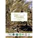 3 Best Organic Extra Virgin Olive Oils of the World 2017 - Morellana | Rincon de la Subbetica | Oro del Desierto Coupage - Buy Online on GoSupps.com