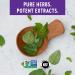 New Chapter Oregano Force Capsules - Immune Support, Organic & Non-GMO - 30 Count - Buy Online on GoSupps.com
