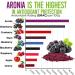 Aronia Juice Powder | Antioxidant Superfood | Non-GMO Gluten Free Raw & Water Soluble | Rich in Vitamins A C E Calcium & Iron - Buy Online on GoSupps.com
