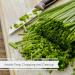 Dried Chives - 5 oz Jumbo Reusable Container by It's Delish | Premium Aromatic Chopped Chive Rings - Rich in Vitamin A & C - Buy Online on GoSupps.com