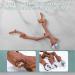 Kathson Parrot Perch Stand - Natural Wild Grape Paw Grinding Pole for Parakeet, Cockatiels, Budgies, Conure, Lovebirds | Bird Cage Accessories - Buy Online on GoSupps.com
