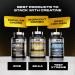 Iron Labs Nutrition Creatine Capsules - 200mg x 40 Servings - Enhanced with ALA - Suitable for Men and Women - 240 Capsules - Buy Online on GoSupps.com