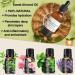DINGTU Body Butter Making Kit- Shea Butter Lotion Making Kit DIY Crafts for Adults Organic Shea Butter Natural Whipped Body Butter Maker Skin Care Gifts for Women - Buy Online on GoSupps.com