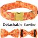 Aring Pet Autumn Dog Collar - Cute Yellow with Bow Adjustable Perfect for Small & Medium Dogs - Pack of 1 - Buy Online on GoSupps.com