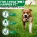 Turmeric for Dogs | Joint Pain Relief & Anti-Inflammatory Supplement | Senior Dog Joint Care with Curcumin & Black Pepper | 120 Capsules - Buy Online on GoSupps.com