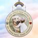 BANBERRY DESIGNS 2022 Dog Memorial Keepsake Ornament - Paw Prints and Heart Design - Loss of Pet Gift - Buy Online on GoSupps.com