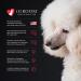 iGroom All-In-One Dog Shampoo + Conditioner 16 oz - Luxury Pet Beauty Care for All Coat Types - Hydrating & Conditioning Formula Made in USA - Buy Online on GoSupps.com