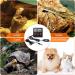 Weewooday Reptile Thermometer and Humidity Gauge - 2 Piece Set for Terrariums - Indoor/Outdoor Digital Temperature and Hygrometer Gauge for Reptile Keeping - Buy Online on GoSupps.com