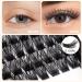 Buy Bodermincer 120pcs D Curl Mixed Eyelashes - Professional Individual Cluster for Home Extensions (8-10-12-14-16mm - Buy Online on GoSupps.com