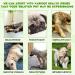 Probiotic for Dogs Natural 3 in 1 Dog Probiotic Drops Helps Relieve Diarrhea Supports Gut Health Itchy Skin Allergies Immunity Digestive Enzyme for Dog Supplement Bacon Flavor - 2 fl.oz - Buy Online on GoSupps.com