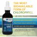 Trace Minerals Ionic Chlorophyll | Immune Boost & Antioxidant | Mint Flavored, 2.0oz 6000mg - Buy Online on GoSupps.com