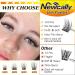 Newcally Lash Clusters 120pcs 10-16mm DIY Individual Eyelash Extensions - Wispy Natural C D Curl False Eyelashes - Buy Online on GoSupps.com