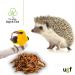 UGF Juicy Preserved Mealworms 140g - Premium Bird Food Hedgehog & Squirrel Treats Year-Round Nutrition - Buy Online on GoSupps.com