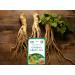 Dr Chen Ginseng Root with Green Tea Traditional Natural Herbal Blend 20 Teabags - Buy Online on GoSupps.com