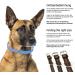 Premium Leather Sniffing Fans Collar for Dogs - Padded Durable Fits Small to Large (S: 24-30cm Brown) - Buy Online on GoSupps.com