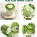 LEASOUL Matcha Green Tea Powder-Premium Grade - 200g can be prepared as mixed drinks herbal tea milk cake dessert and ice cream 100g*2 - Buy Online on GoSupps.com