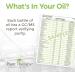 Plant Therapy Travel Essential Oil Blend 10 mL | 100% Pure Aromatherapy - Natural & Undiluted - Buy Online on GoSupps.com
