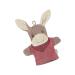 Buy Sterntaler Emmily Wash Mitt | Soft & Durable Playtime Accessory - International Shipping Available - Buy Online on GoSupps.com