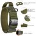 OneTigris Ranger Green Dog Collar with Metal Buckle - Durable Adjustable & Stylish for All Breeds | International Shipping Available - Buy Online on GoSupps.com