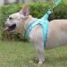 Doramio Reflective Dog Harness & Leash for Small Dogs | Breathable Step-In Safety Vest - Light Green XL - Buy Online on GoSupps.com