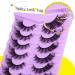 Buy ALICE Fox Eye Lashes - 3D Wispy Cat Eye & Anime Cosplay Eyelashes | Fluffy Manga False Eyelashes - 7 Pairs A001 - Buy Online on GoSupps.com