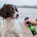 Animology Stink Bomb Deodorising Dog Spray Twin Pack 250ml - Buy Online on GoSupps.com
