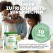 Daily Greens Superfood Powder - Vegan Protein & Fiber Alternative to Athletic Greens | 300g Smoothie Mix with Vitamins & Minerals - Buy Online on GoSupps.com