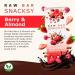  SNACKSY Snacksy Vegan Chocolate Raw Berries and Almonds with Ginkgo Biloba Bar (1 x 40g Box) | Gluten-free dairy-free refined sugar-free and kosher cocoa snack with superfoods | - Buy Online on GoSupps.com