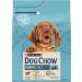 DOG CHOW PUPPY Jagniecina 2 5kg - Buy Online on GoSupps.com
