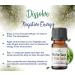 White Sage & Palo Santo Purification Essential Oil - 10ml - Clears Negative Energy for Diffusers, Meditation, Yoga, and Spiritual Purposes - Buy Online on GoSupps.com