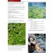 Hydra Quartz Blanket Weed Pond Treatment - Blanket Weed Killer for Ponds | Removes Harmful Ammonia from Water | 1 Kg Treats Up to 12 500 Liters - Buy Online on GoSupps.com